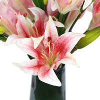 Thumbnail for Premium Faux Pink Lily In Glass Vase (Artificial Tiger Lily Arrangement)