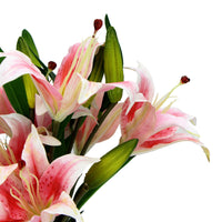 Thumbnail for Premium Faux Pink Lily In Glass Vase (Artificial Tiger Lily Arrangement)