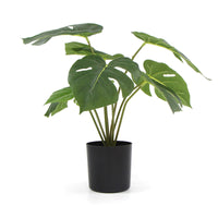 Thumbnail for Potted Artificial Split Philodendron Plant With Real Touch Leaves 35cm