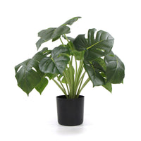 Thumbnail for Dense Potted Artificial Split Philodendron Plant With Real Touch Leaves 50cm