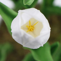 Thumbnail for Flowering White Artificial Tulip Plant Arrangement With Ceramic Bowl 35cm