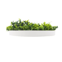 Thumbnail for Flowering White Artificial Green Wall Disc UV Resistant 75cm (White Frame)