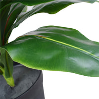 Thumbnail for Artificial Potted Wide Leaf Birds Nest Fern 50cm