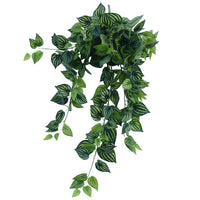 Thumbnail for Bright Mixed Philodendron Garland Bush 100cm