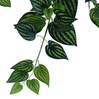 Thumbnail for Bright Mixed Philodendron Garland Bush 100cm