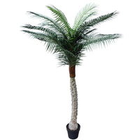 Thumbnail for Tropical Phoenix Palm Tree 170cm UV Resistant