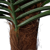 Thumbnail for Tropical Phoenix Palm Tree 170cm UV Resistant