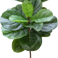 Thumbnail for Tall Artificial Fiddle Leaf Fig 170cm