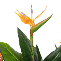 Thumbnail for Artificial Potted 150cm Bird of Paradise Plant