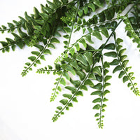 Thumbnail for UV Resistant Dense Hanging Fern 90cm