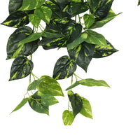 Thumbnail for Heart Leaf Philodendron Hanging Creeper Bush 73cm