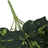 Thumbnail for Heart Leaf Philodendron Hanging Creeper Bush 73cm