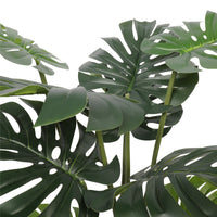 Thumbnail for Split Philodendron (Split Leaf) 120cm