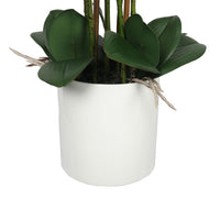 Thumbnail for Large Multi-Stem White Potted Faux Orchid 65cm