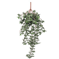 Thumbnail for Hanging English Ivy Bush 80cm UV Resistant