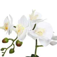 Thumbnail for Potted Single Stem White Phalaenopsis Orchid with Decorative Pot 35cm