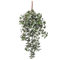 Thumbnail for Mixed Green and White Tipped Ivy Bush 80cm UV Resistant