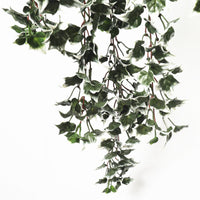 Thumbnail for Mixed Green and White Tipped Ivy Bush 80cm UV Resistant