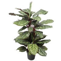 Thumbnail for Artificial Wide Leaf Cordyline Plant 90cm