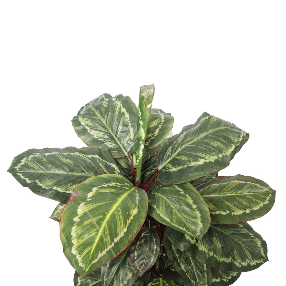 Artificial Wide Leaf Cordyline Plant 90cm