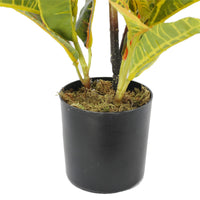 Thumbnail for Artificial Potted Flaming Zebra (Codiaeum variegatum / crotons) 55cm