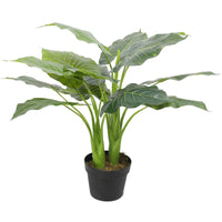 Thumbnail for Artificial Potted Taro Plant / Elephant Ear 70cm