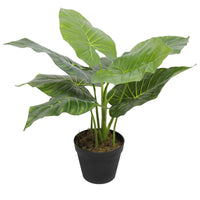 Thumbnail for Artificial Potted Taro Plant / Elephant Ear 55cm