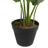 Thumbnail for Artificial Potted Taro Plant / Elephant Ear 55cm