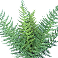 Thumbnail for Dark Fern Stem UV Resistant 38cm