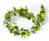 Thumbnail for Mixed Yellow and Red Pothos Garland 190cm