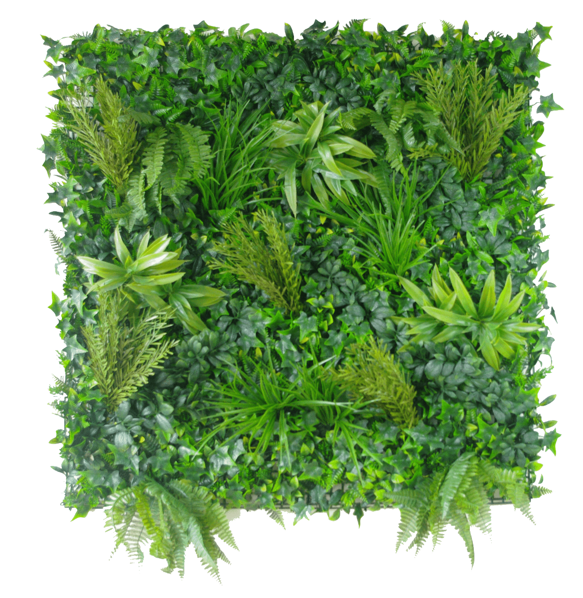 Native Tea Tree Vertical Garden / Green Wall UV Resistant 100cm x 100cm