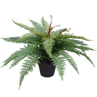 Thumbnail for Artificial Potted Fishtail Fern 55cm