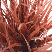 Thumbnail for Artificial Ornamental Potted Dense Burgundy Grass 38 cm