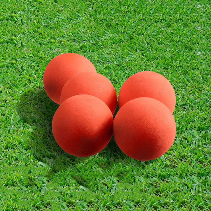 Cricket Ball Pitcher